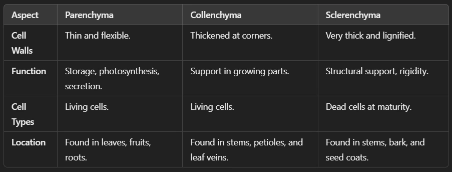 Difference Between Parenchyma, Collenchyma, and Sclerenchyma (Plant Tissues)